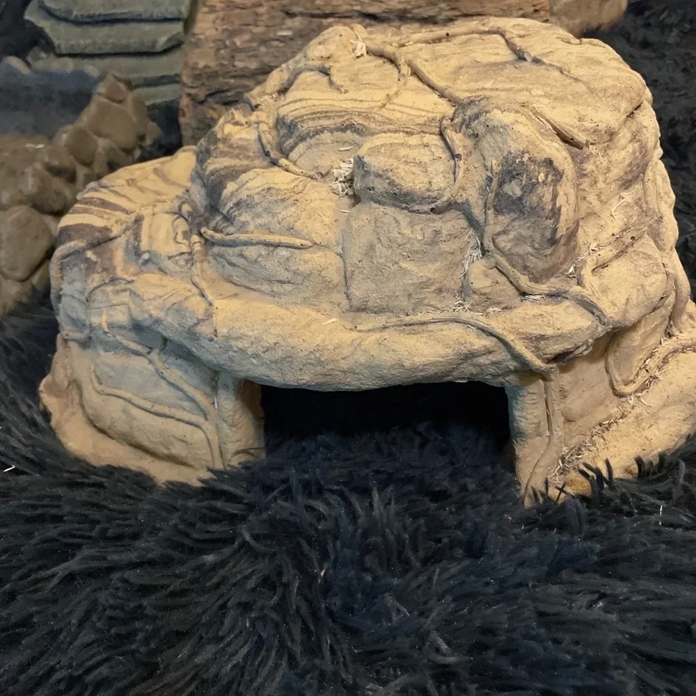 Reptile, hides ceramic hide very nice. water feeder, heat rock, heat lamp.